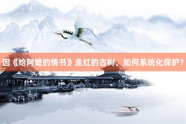 因《给阿嬷的情书》走红的古树，如何系统化保护？