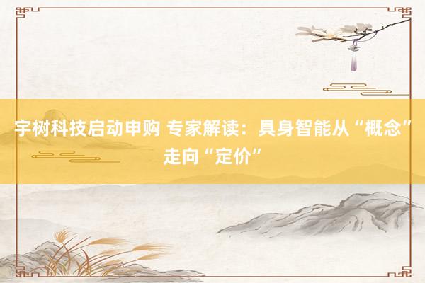 宇树科技启动申购 专家解读：具身智能从“概念”走向“定价”