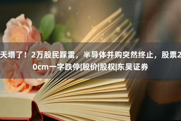 天塌了！2万股民踩雷，半导体并购突然终止，股票20cm一字跌停|股价|股权|东吴证券