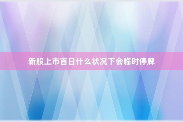 新股上市首日什么状况下会临时停牌