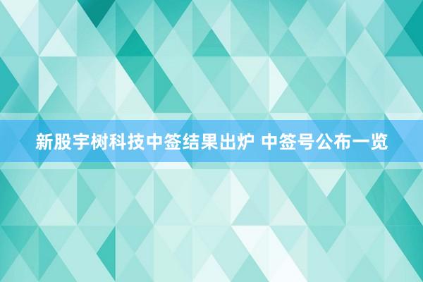 新股宇树科技中签结果出炉 中签号公布一览