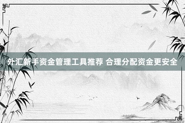 外汇新手资金管理工具推荐 合理分配资金更安全