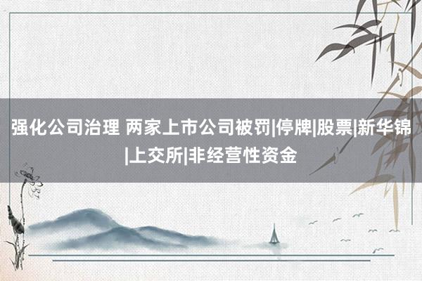 强化公司治理 两家上市公司被罚|停牌|股票|新华锦|上交所|非经营性资金