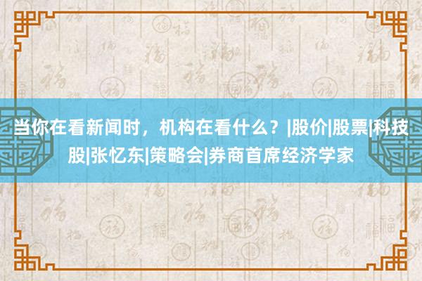 当你在看新闻时，机构在看什么？|股价|股票|科技股|张忆东|策略会|券商首席经济学家