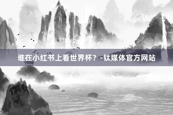 谁在小红书上看世界杯？-钛媒体官方网站