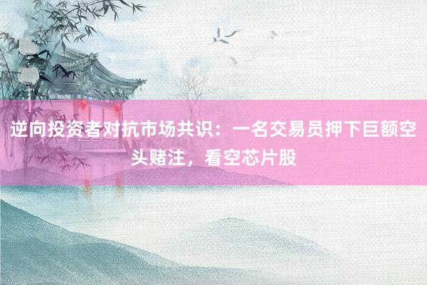 逆向投资者对抗市场共识：一名交易员押下巨额空头赌注，看空芯片股