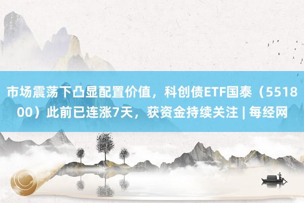 市场震荡下凸显配置价值，科创债ETF国泰（551800）此前已连涨7天，获资金持续关注 | 每经网