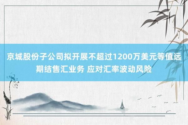 京城股份子公司拟开展不超过1200万美元等值远期结售汇业务 应对汇率波动风险