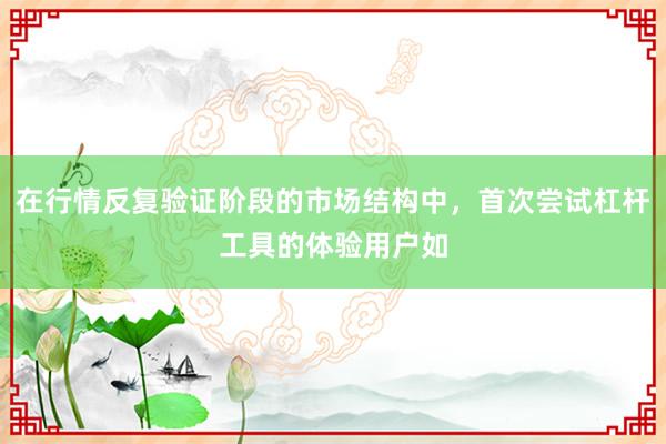 在行情反复验证阶段的市场结构中,首次尝试杠杆工具的体验用户如