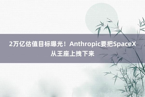 2万亿估值目标曝光！Anthropic要把SpaceX从王座上拽下来