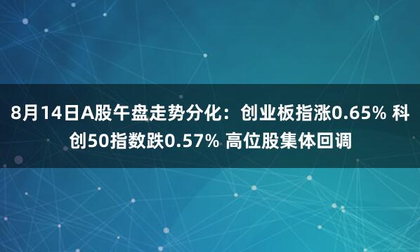 8月14日A股午盘走势分化：创业板指涨0.65% 科创50指数跌0.57% 高位股集体回调