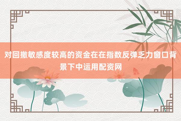 对回撤敏感度较高的资金在在指数反弹乏力窗口背景下中运用配资网