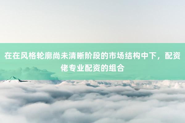 在在风格轮廓尚未清晰阶段的市场结构中下，配资佬专业配资的组合