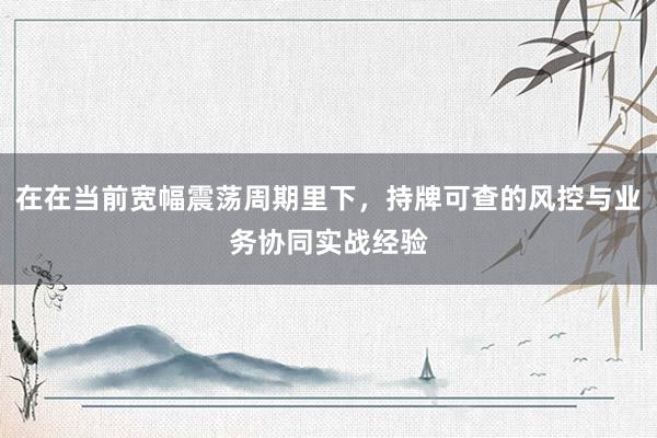 在在当前宽幅震荡周期里下，持牌可查的风控与业务协同实战经验