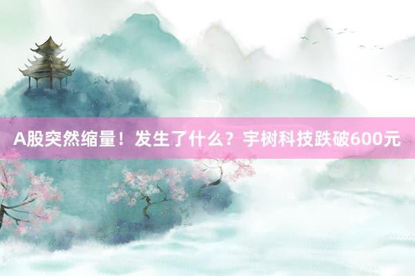A股突然缩量！发生了什么？宇树科技跌破600元