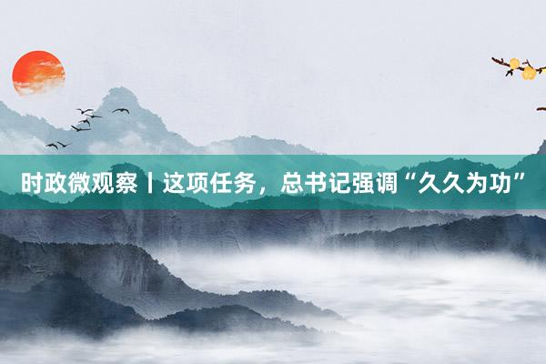 时政微观察丨这项任务，总书记强调“久久为功”