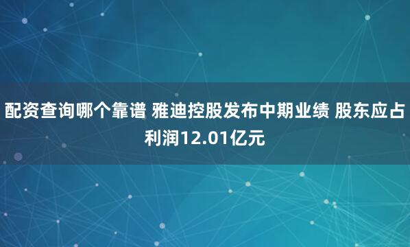 配资查询哪个靠谱 雅迪控股发布中期业绩 股东应占利润12.01亿元