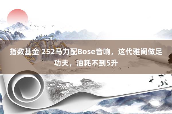 指数基金 252马力配Bose音响，这代雅阁做足功夫，油耗不到5升