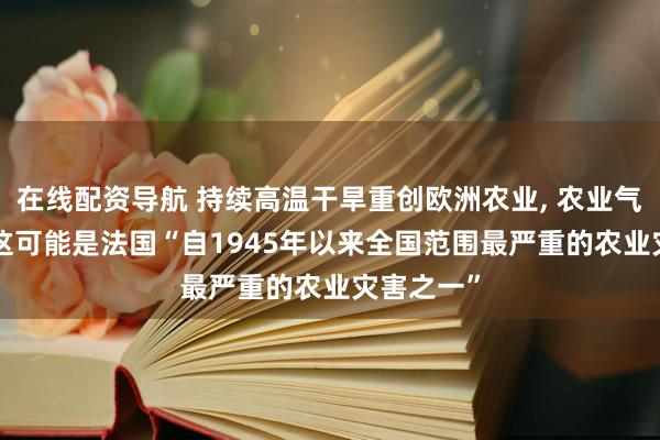 在线配资导航 持续高温干旱重创欧洲农业, 农业气候学家: 这可能是法国“自1945年以来全国范围最严重的农业灾害之一”