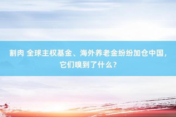 割肉 全球主权基金、海外养老金纷纷加仓中国，它们嗅到了什么？