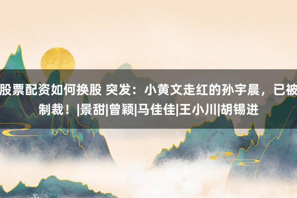 股票配资如何换股 突发：小黄文走红的孙宇晨，已被制裁！|景甜|曾颖|马佳佳|王小川|胡锡进