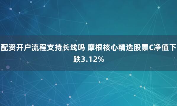 配资开户流程支持长线吗 摩根核心精选股票C净值下跌3.12%