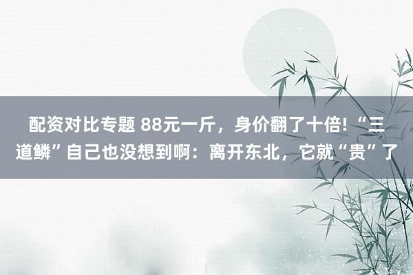 配资对比专题 88元一斤，身价翻了十倍! “三道鳞”自己也没想到啊：离开东北，它就“贵”了