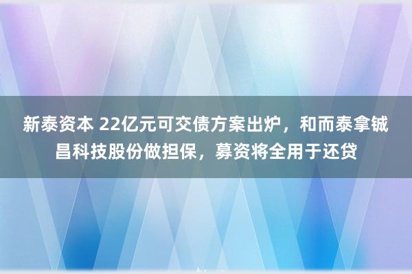 新泰资本 22亿元可交债方案出炉，和而泰拿铖昌科技股份做担保，募资将全用于还贷