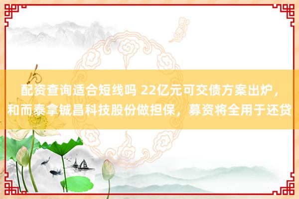 配资查询适合短线吗 22亿元可交债方案出炉，和而泰拿铖昌科技股份做担保，募资将全用于还贷