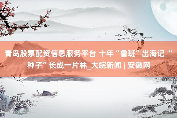 青岛股票配资信息服务平台 十年“鲁班”出海记 “种子”长成一片林_大皖新闻 | 安徽网