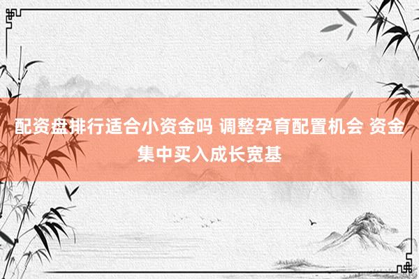 配资盘排行适合小资金吗 调整孕育配置机会 资金集中买入成长宽基