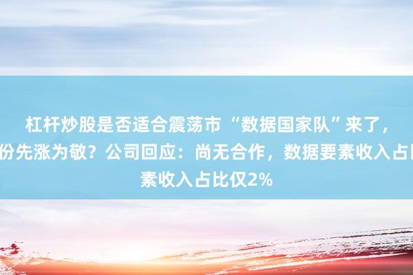 杠杆炒股是否适合震荡市 “数据国家队”来了，太极股份先涨为敬？公司回应：尚无合作，数据要素收入占比仅2%