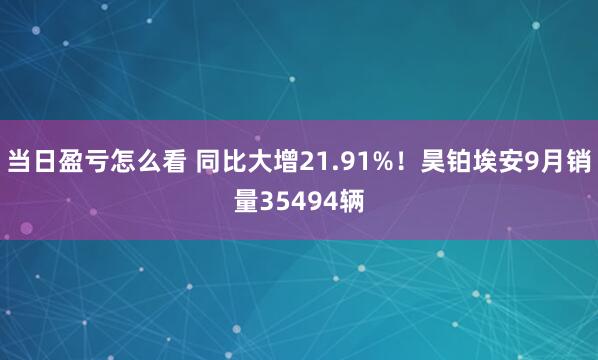 当日盈亏怎么看 同比大增21.91%！昊铂埃安9月销量35494辆